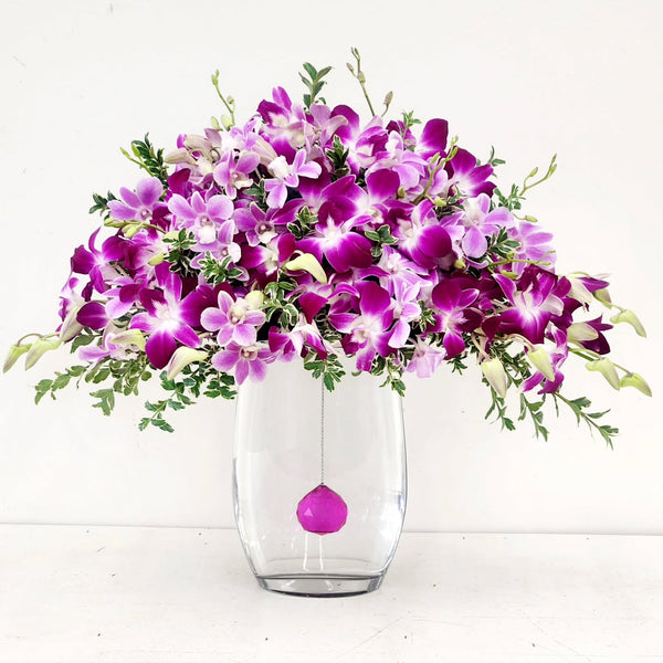 Trailing Violets
