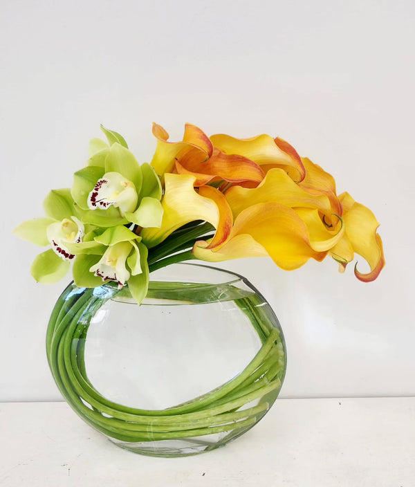 Twisted Elegance