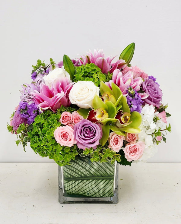 Blooms
