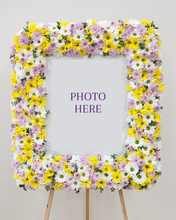 Yellow, White & Lavender Daisies