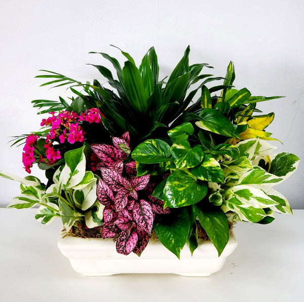 Ceramic planter